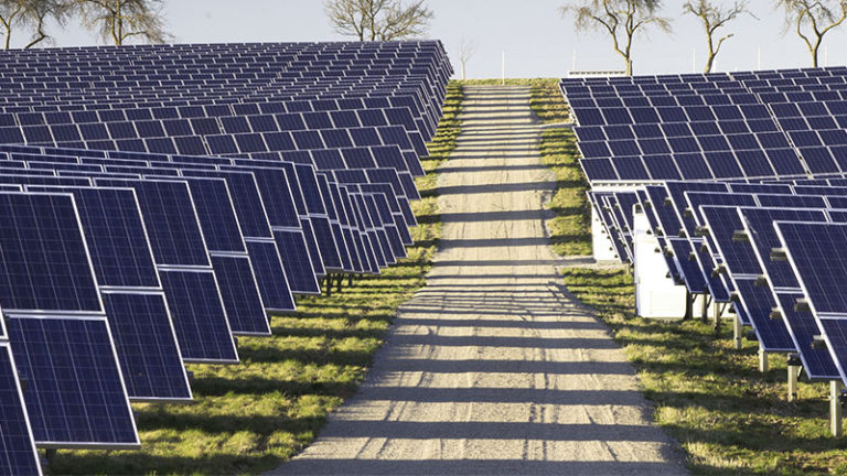 Sicherheit für Solarparks mit OPTEX-Technik